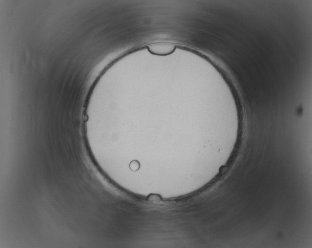 X0000115791333200912241823