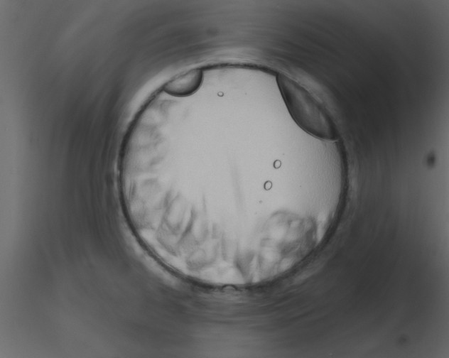 X0000115791334200912241823