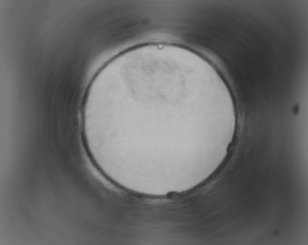 X0000115791335200912241823