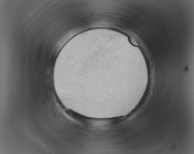 X0000115791337200912241823
