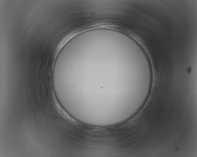 X0000115791338200912241823