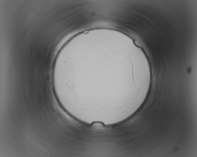 X0000115791339200912241823