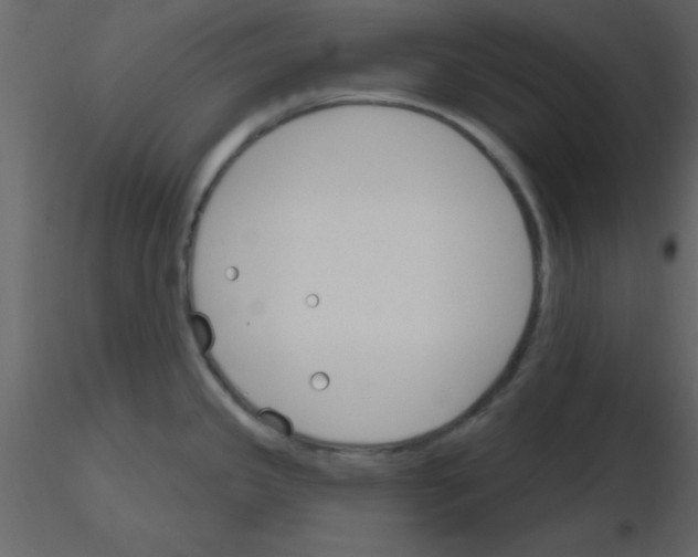 X0000115791341200912241824