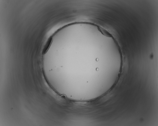 X0000115791342200912241824