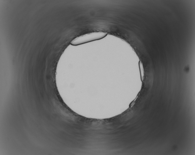 X0000115791345200912241823