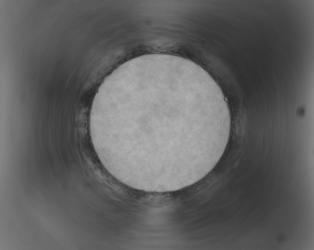 X0000115791346200912241823