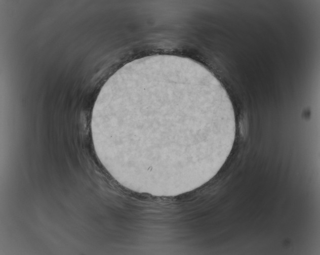 X0000115791347200912241823