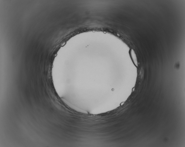 X0000115791348200912241823