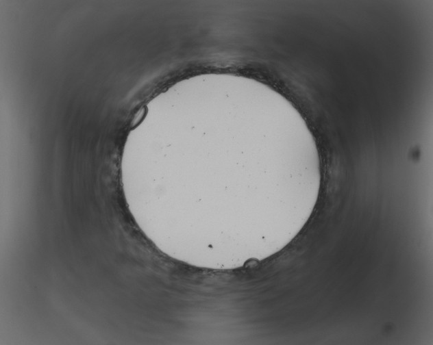 X0000115791349200912241823
