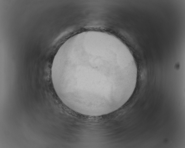 X0000115791350200912241823