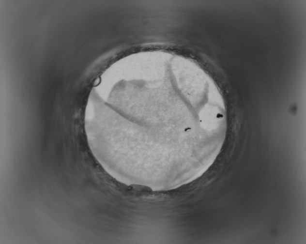 X0000115791351200912241823