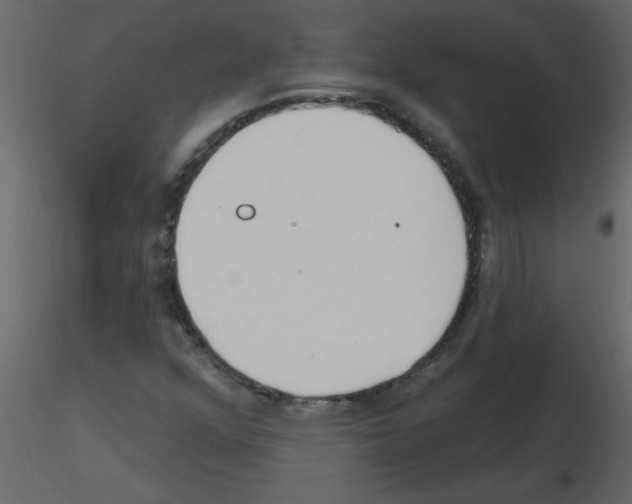 X0000115791352200912241823