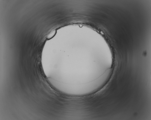 X0000115791353200912241823