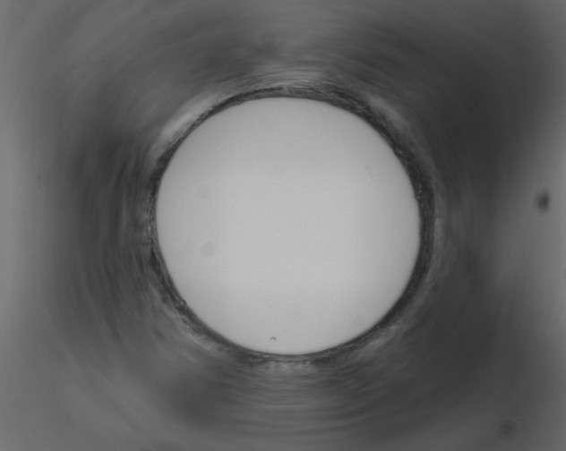 X0000115791354200912241823
