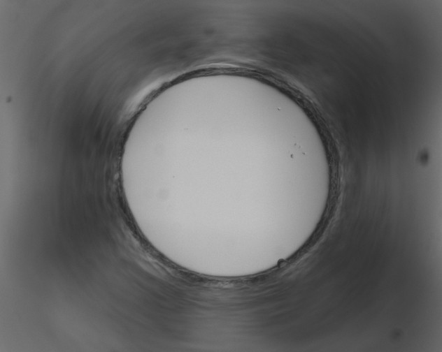 X0000115791355200912241823