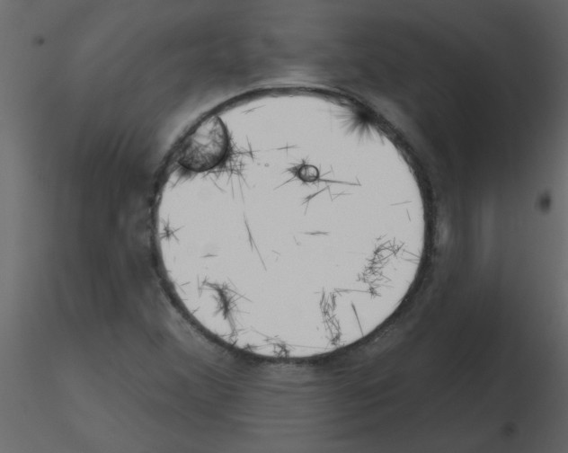 X0000115791356200912241823