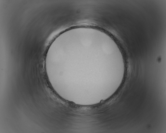 X0000115791358200912241823