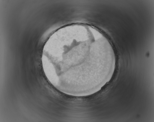 X0000115791359200912241823