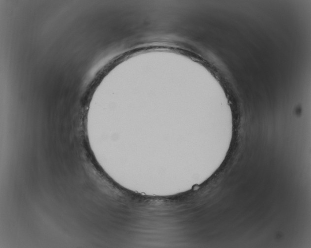 X0000115791360200912241823