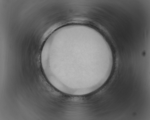 X0000115791362200912241823