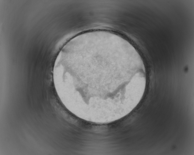 X0000115791363200912241823