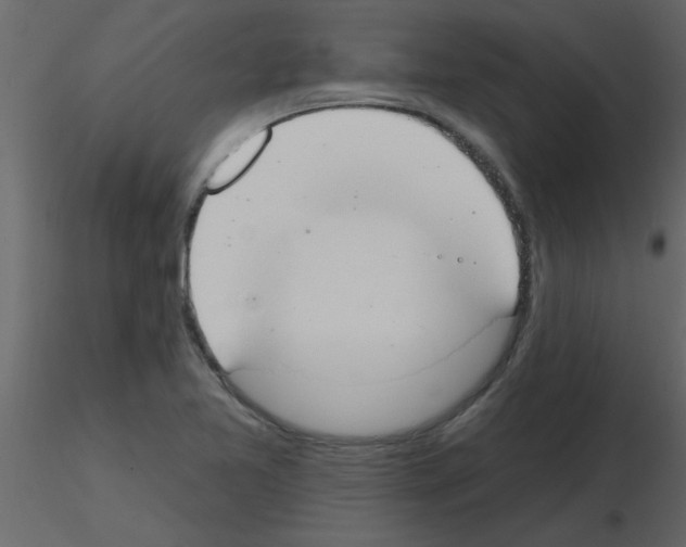 X0000115791365200912241823