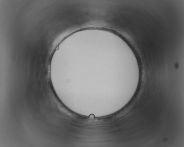 X0000115791366200912241823