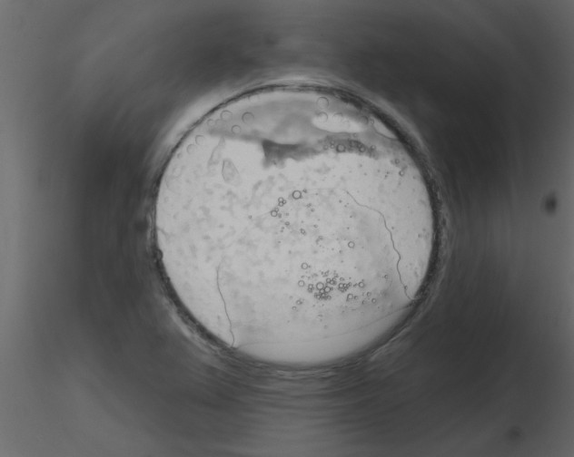X0000115791367200912241823