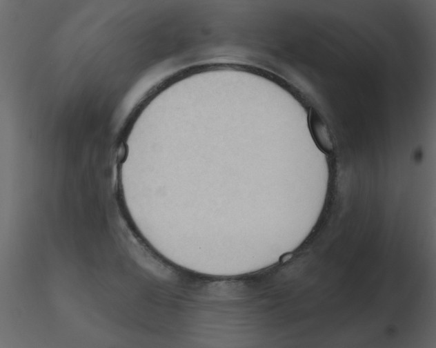 X0000115791368200912241823