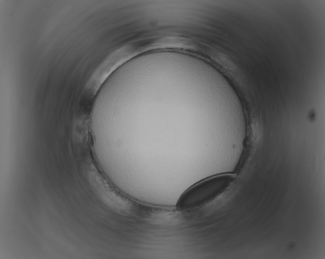 X0000115791369200912241823