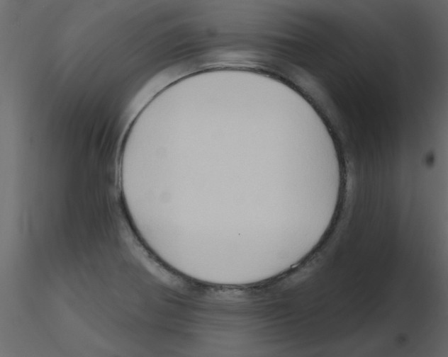 X0000115791370200912241823