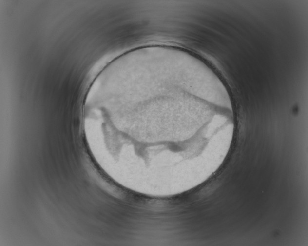 X0000115791371200912241823
