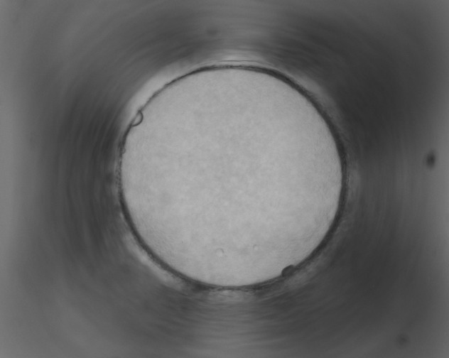 X0000115791374200912241823