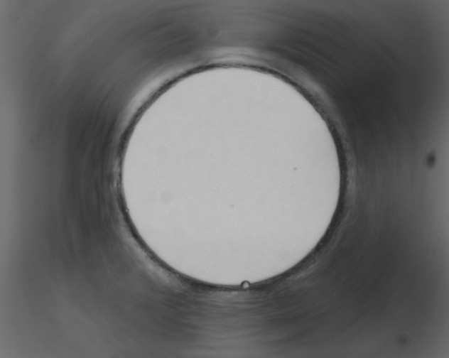 X0000115791376200912241822