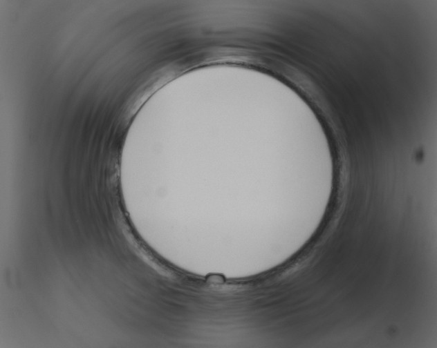 X0000115791377200912241822