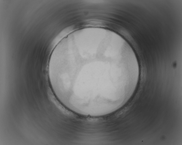 X0000115791378200912241822