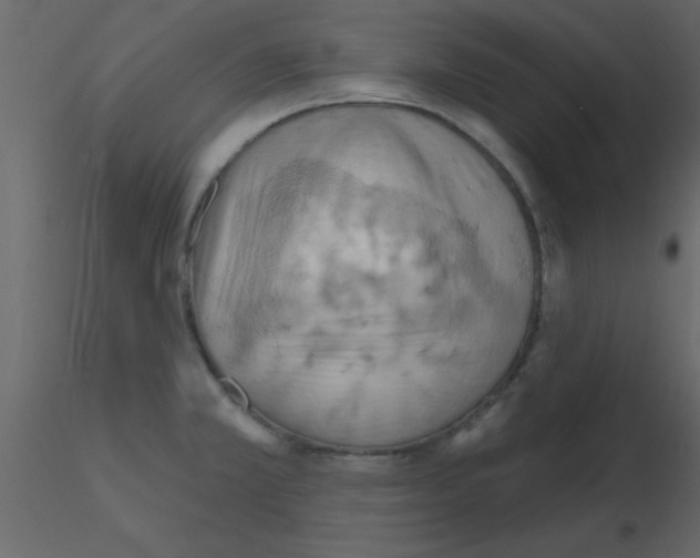 X0000115791381200912241822
