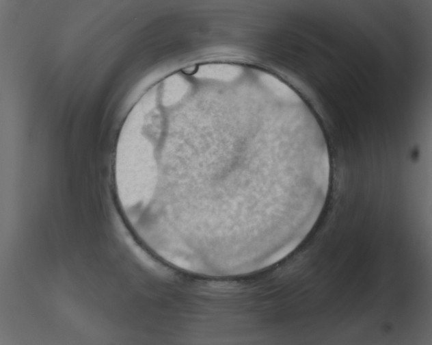 X0000115791383200912241822