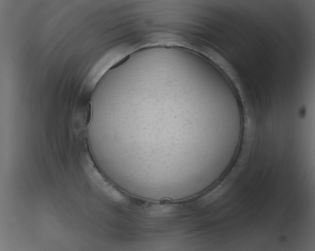 X0000115791385200912241822