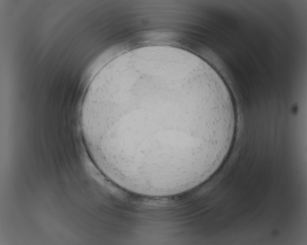 X0000115791386200912241822