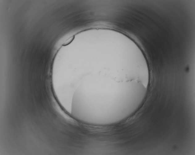 X0000115791387200912241822