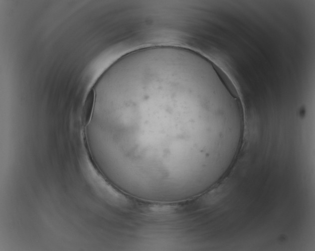 X0000115791389200912241822