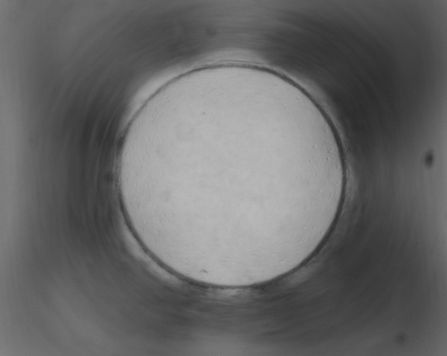 X0000115791390200912241822