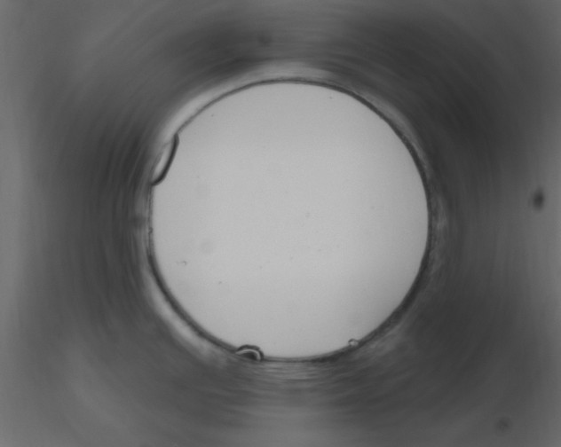 X0000115791391200912241822