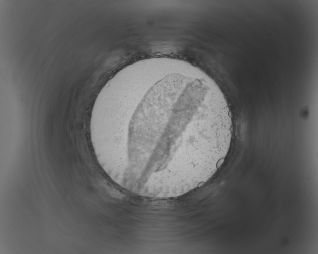 X0000115791393200912241822