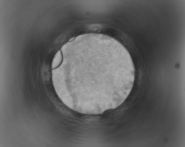 X0000115791394200912241822