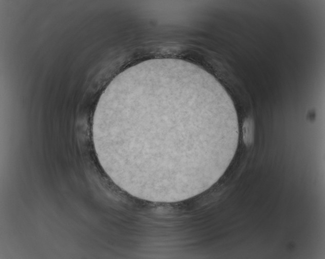 X0000115791395200912241822