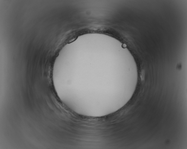 X0000115791396200912241822