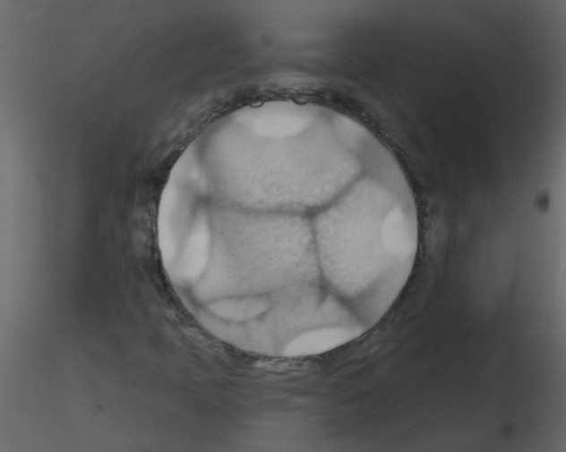 X0000115791397200912241822