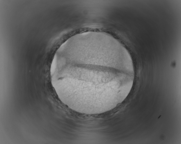 X0000115791398200912241822